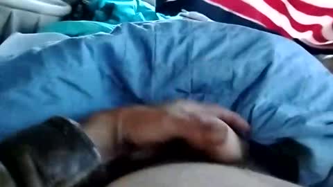 Dickbowen online show from 11-01-25, 01:57