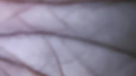 Dick balls online show from 12-01-24, 07:47