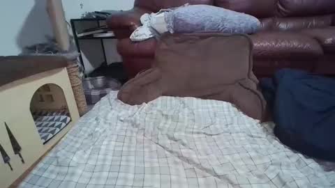 dickslayerdan online show from 11-22-25, 12:31