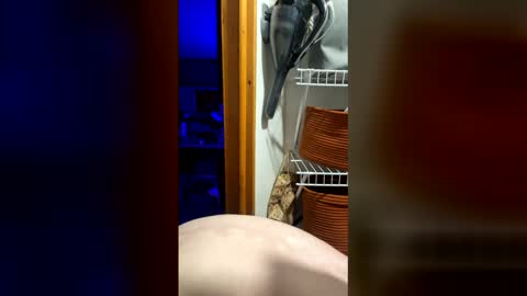DickTaterish online show from 05-05-26, 06:43