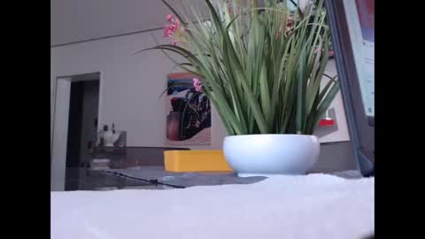 Snapshot of didiegal chatting on 11-01-25, 10:28 squirtcock online show from 11-01-25, 10:28