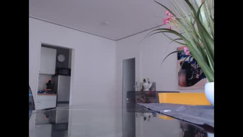 Snapshot of didiegal chatting on 11-08-25, 10:04 squirtcock online show from 11-08-25, 10:04