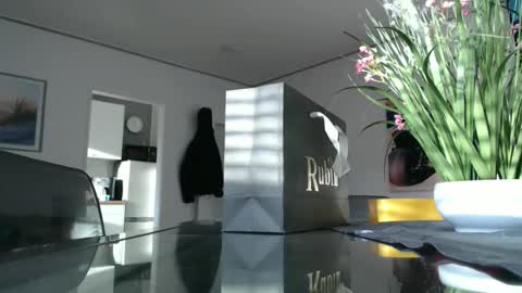 Snapshot of didiegal1 chatting on 12-21-25, 01:29 squirtcock online show from 12-21-25, 01:29