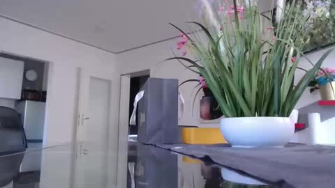 Snapshot of didiegal1 chatting on 01-11-26, 10:42 squirtcock online show from 01-11-26, 10:42