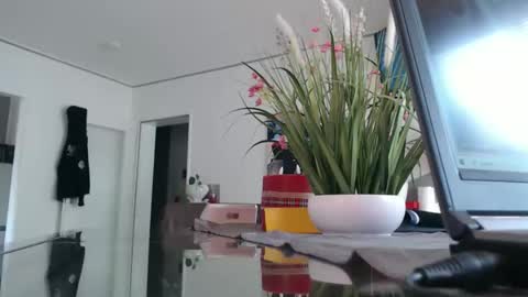 squirtcock online show from 04-12-26, 11:59