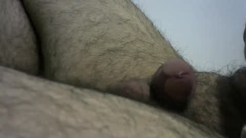 Snapshot of dilaradagci chatting on 12-28-24, 04:09 Bob online show from 12-28-24, 04:09