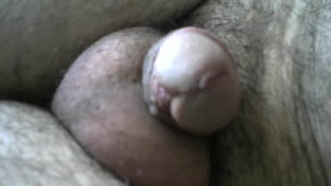 Snapshot of dilaradagci chatting on 01-11-25, 08:33 Bob online show from 01-11-25, 08:33