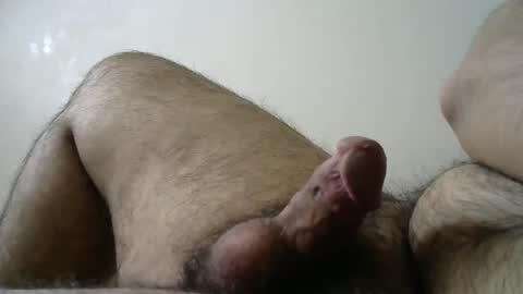 Snapshot of dilaradagci chatting on 02-27-25, 11:41 Bob online show from 02-27-25, 11:41