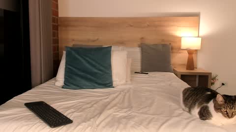 Dilarahkesh  online show from 01-23-25, 10:32