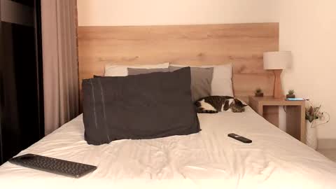 Dilarahkesh  online show from 02-16-25, 07:15