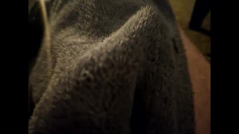 Dilf online show from 01-16-25, 06:35