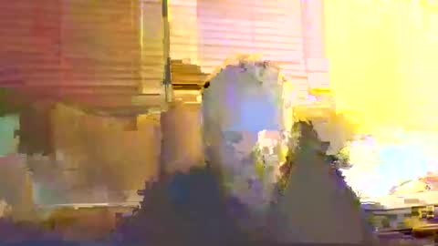 dingleberryjonesmagee online show from 10-25-25, 10:26