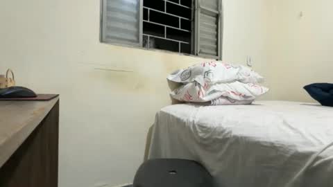 Snapshot of dinhoo14 chatting on 11-29-25, 12:46 dinhoo14 online show from 11-29-25, 12:46