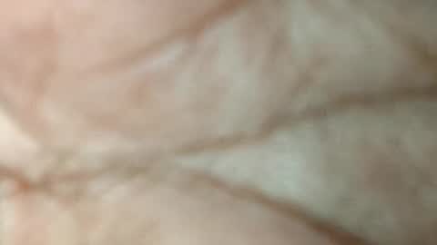 Snapshot of dino_7711 chatting on 11-17-25, 05:52 dyno online show from 11-17-25, 05:52