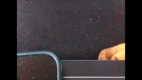 diogominer2 online show from 11-24-25, 12:27