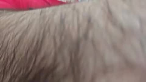 dios891 online show from 04-25-26, 01:03