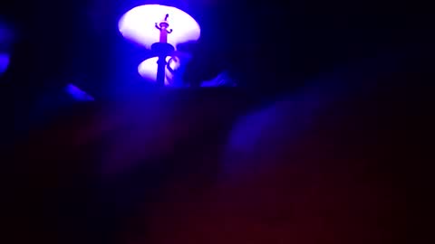 DIPSTIK online show from 04-15-26, 09:16