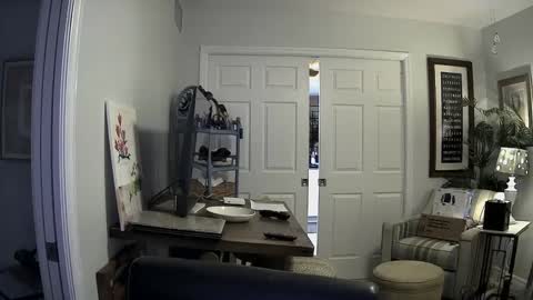 DirtkPitt Fun guy working online show from 01-02-25, 03:05