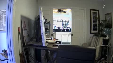 DirtkPitt Fun guy working online show from 01-03-25, 07:39