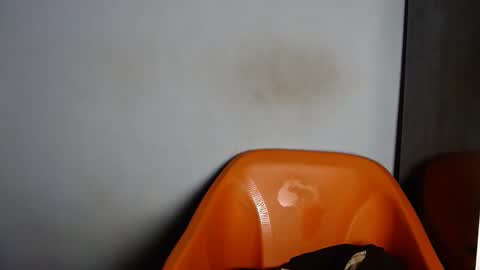 Snapshot of dirtydesirebabe chatting on 04-02-26, 02:20 dirtydesirebabe online show from 04-02-26, 02:20