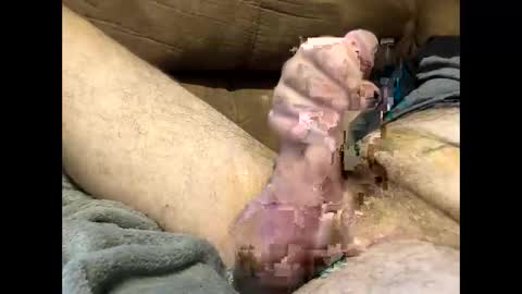 Snapshot of dirtykurty5000 chatting on 09-12-25, 11:43 Dirtykurty5000 online show from 09-12-25, 11:43