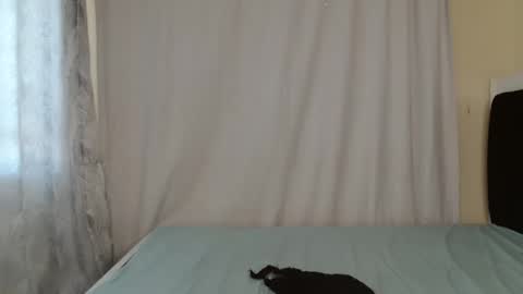 disah_002 online show from 05-28-26, 11:18
