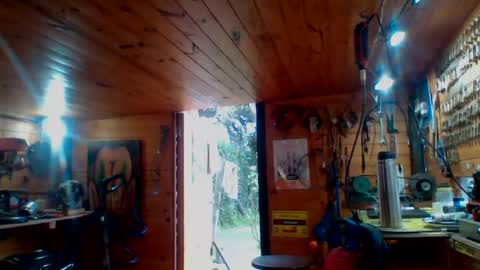 Snapshot of discretopasivo chatting on 06-13-26, 05:00 discretopasivo online show from 06-13-26, 05:00