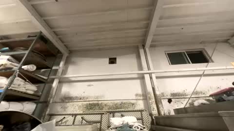 sexyguy online show from 10-27-25, 03:21