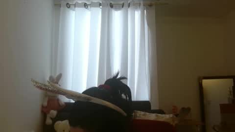 Snapshot of disneey2888 chatting on 11-12-25, 08:19 disneey2888 online show from 11-12-25, 08:19