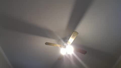 Your Best Worst Nightmare online show from 12-16-24, 08:37