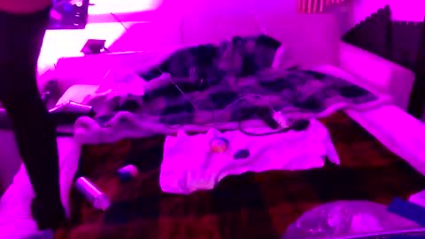 Izzy Knyx online show from 12-22-25, 04:31