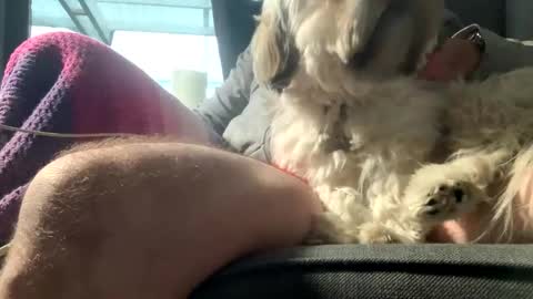 DKdad online show from 12-15-25, 09:13