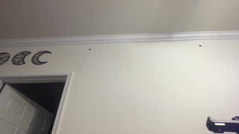 Snapshot of dlasian98 chatting on 01-28-25, 11:39 DL Asian Sissy online show from 01-28-25, 11:39