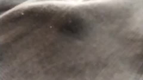 Snapshot of dlov3 chatting on 02-08-26, 10:13 dlov3 online show from 02-08-26, 10:13