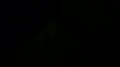 Doby online show from 12-16-25, 11:10