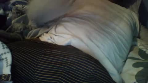 Alex online show from 12-03-25, 08:56