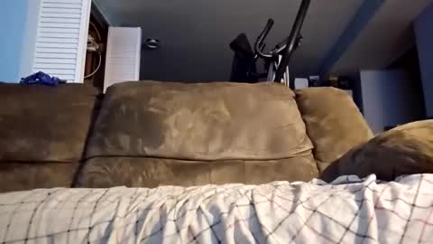 dogbone999081 online show from 12-03-25, 08:45