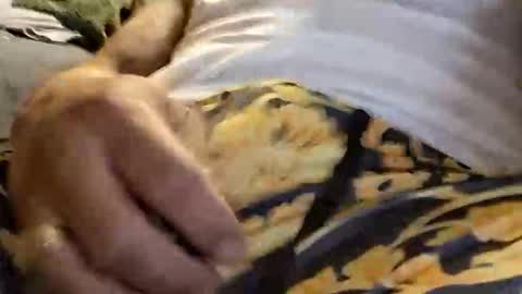 doingthisagain78177277 online show from 01-18-26, 10:41