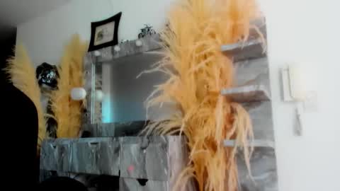 Snapshot of doll_celeste19 chatting on 04-01-26, 08:28 C E L E S T E online show from 04-01-26, 08:28