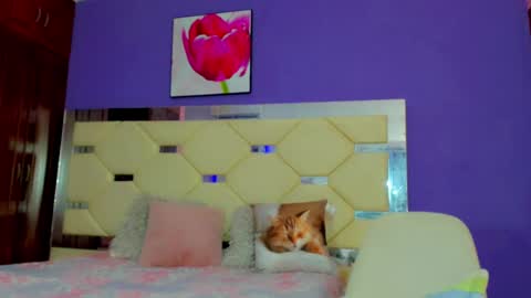 dollcute_latin online show from 04-15-26, 09:16