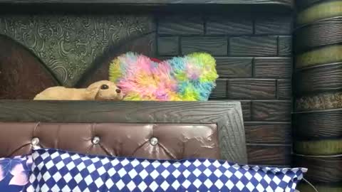 dollmeenu online show from 11-21-25, 06:45