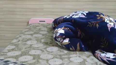 dolly_2 online show from 02-06-25, 10:04