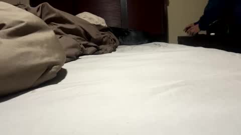 Snapshot of dolphin22356 chatting on 01-17-25, 09:17 Ben Dover online show from 01-17-25, 09:17