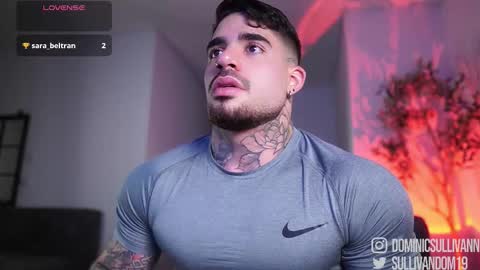 Dominic Sullivan online show from 02-25-26, 04:22