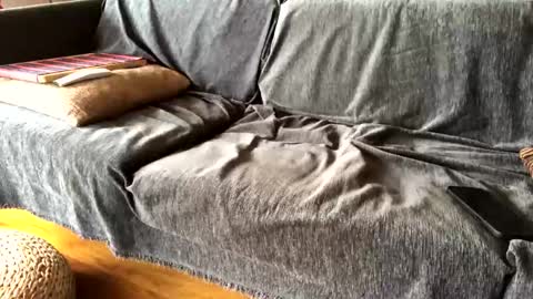 Alfredo online show from 02-09-25, 09:47