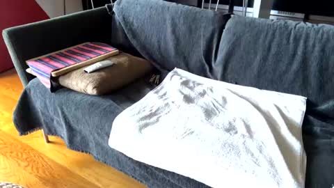 Alfredo online show from 02-17-25, 09:46