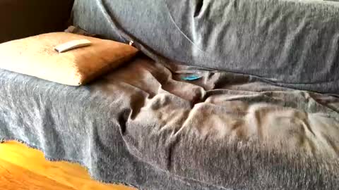 Alfredo online show from 02-20-25, 08:39