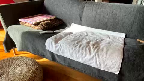 Alfredo online show from 12-03-25, 11:19