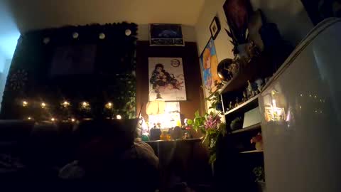 Snapshot of donkellz chatting on 10-02-25, 08:32 Sapphire Fox online show from 10-02-25, 08:32