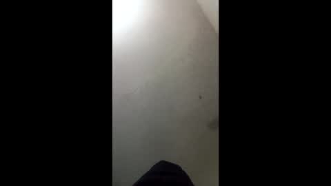 donkeykong34418301 online show from 03-03-26, 06:08